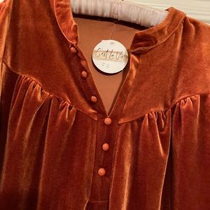 Velveteen long sleeve top with yoke top and buttons. NWT
